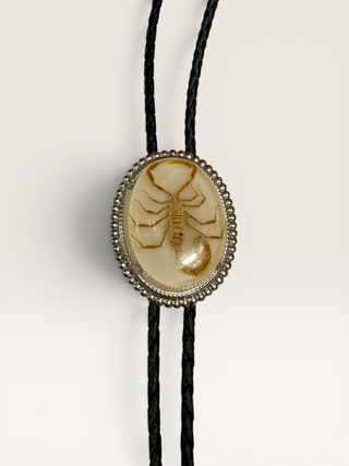 Scorpion In Resin Vintage Bolo Tie