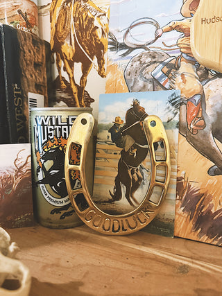 Good Luck Horseshoe Wall Hanging