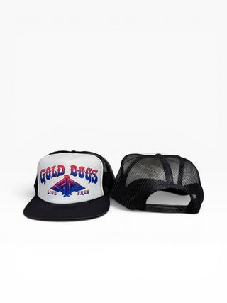 Gold Dogs Live Free White/Blue Gradient Flat Bill Trucker Hat