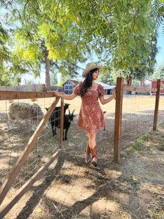 Debbie Puff Sleeve Dress