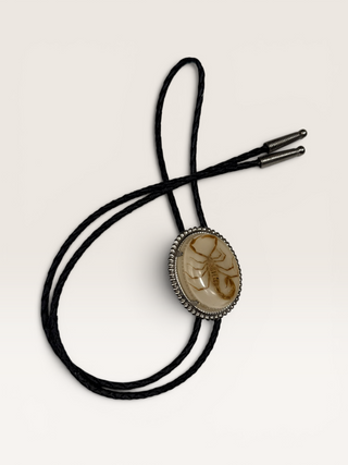 Scorpion In Resin Vintage Bolo Tie