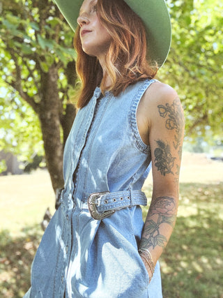 Silver Springs Denim Button Up Dress