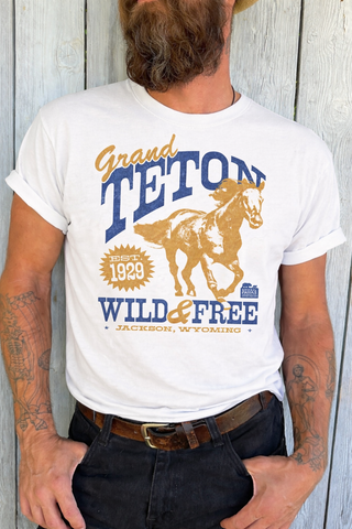 Grand Teton T-Shirt